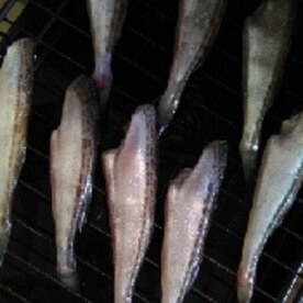 ハタハタの塩焼き レシピ 作り方 By たまラン 子 楽天レシピ ハタハタの塩焼き レシピ 作り方 By たまラン 子 楽天レシピ
